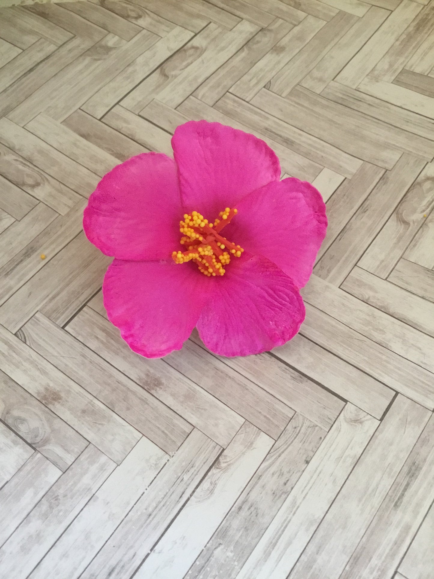 HIBISCUS - hairflower - various colours