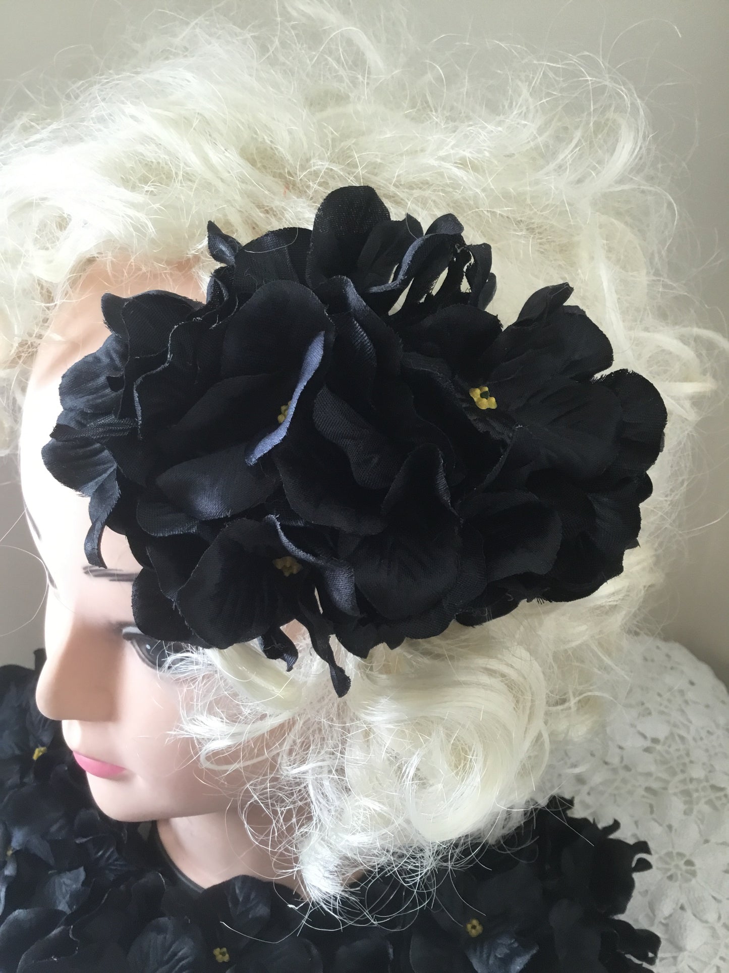 HELENA - hydrangea hairflower - Black