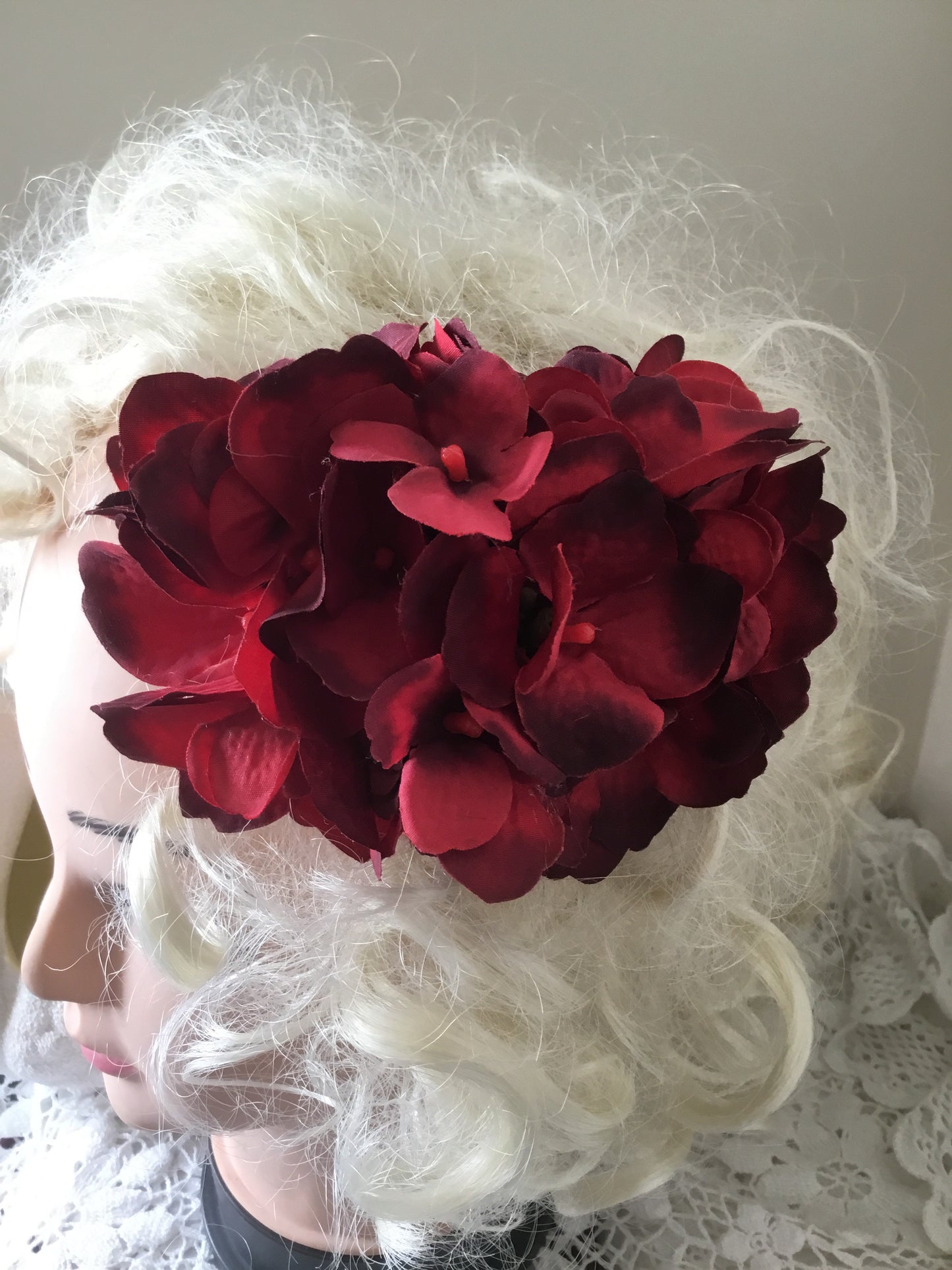 HELENA - hydrangea hairflower - Red