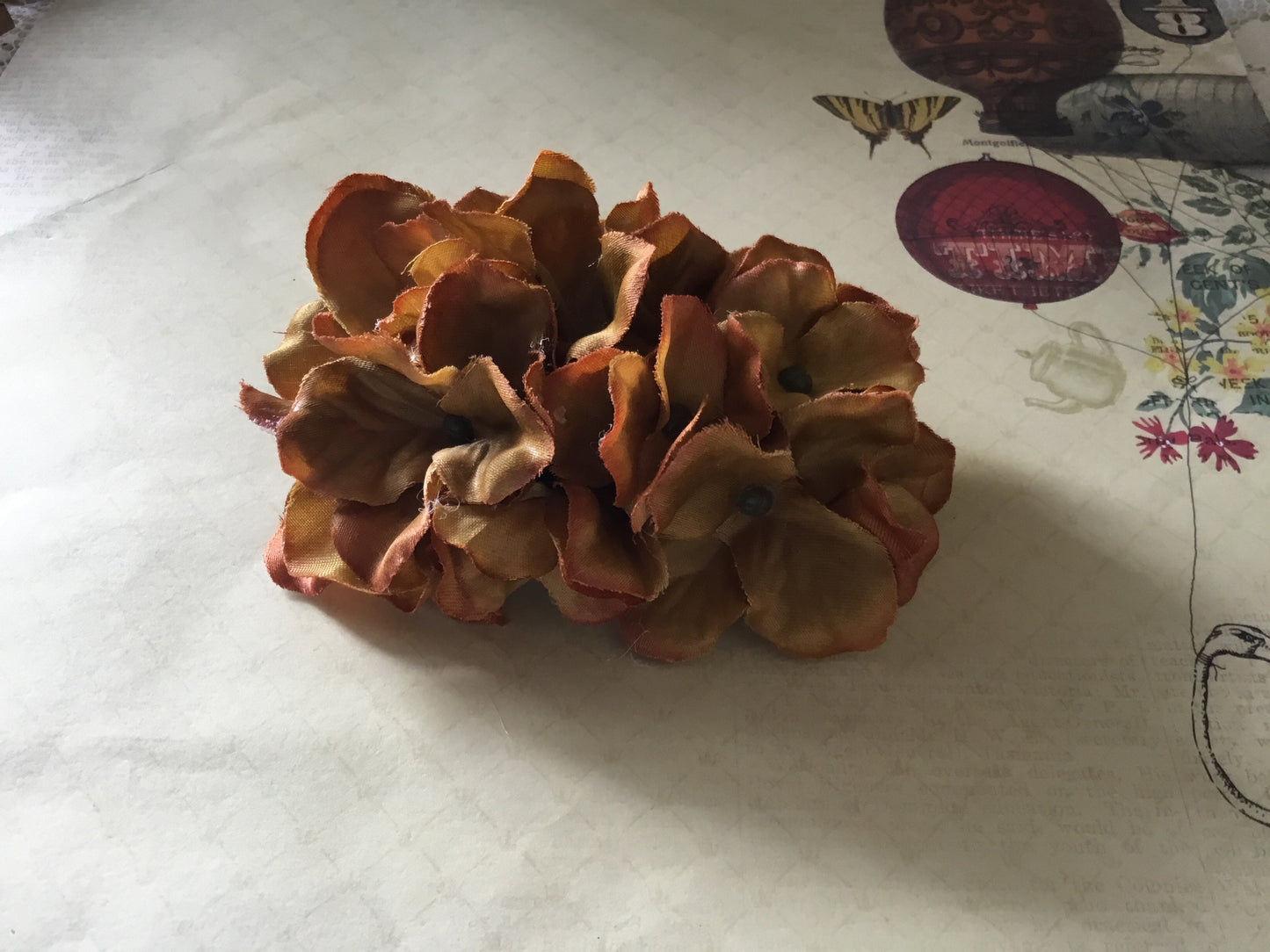 HELENA - hydrangea hairflower - Mustard brown
