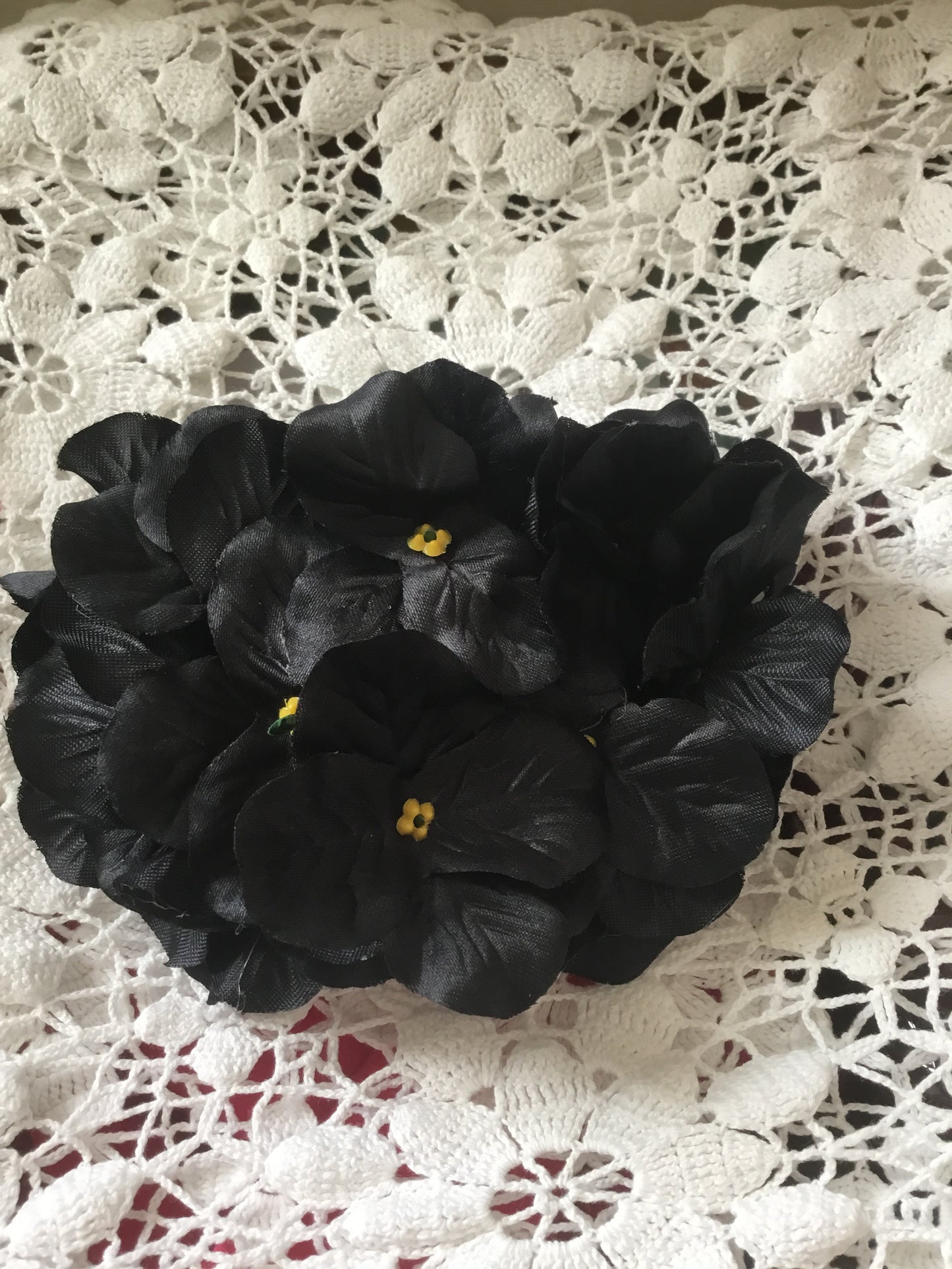 HELENA - hydrangea hairflower - Black