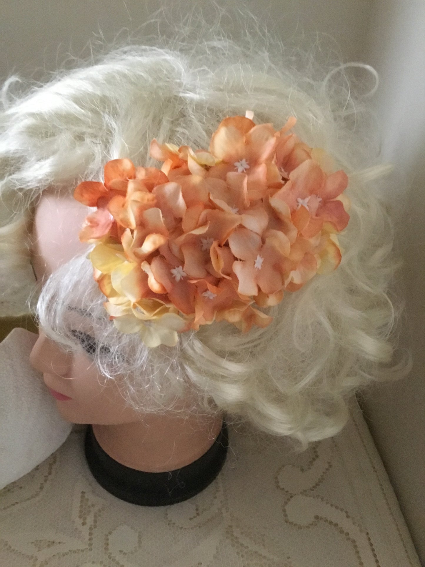 HELENA - hydrangea hairflower - Apricot