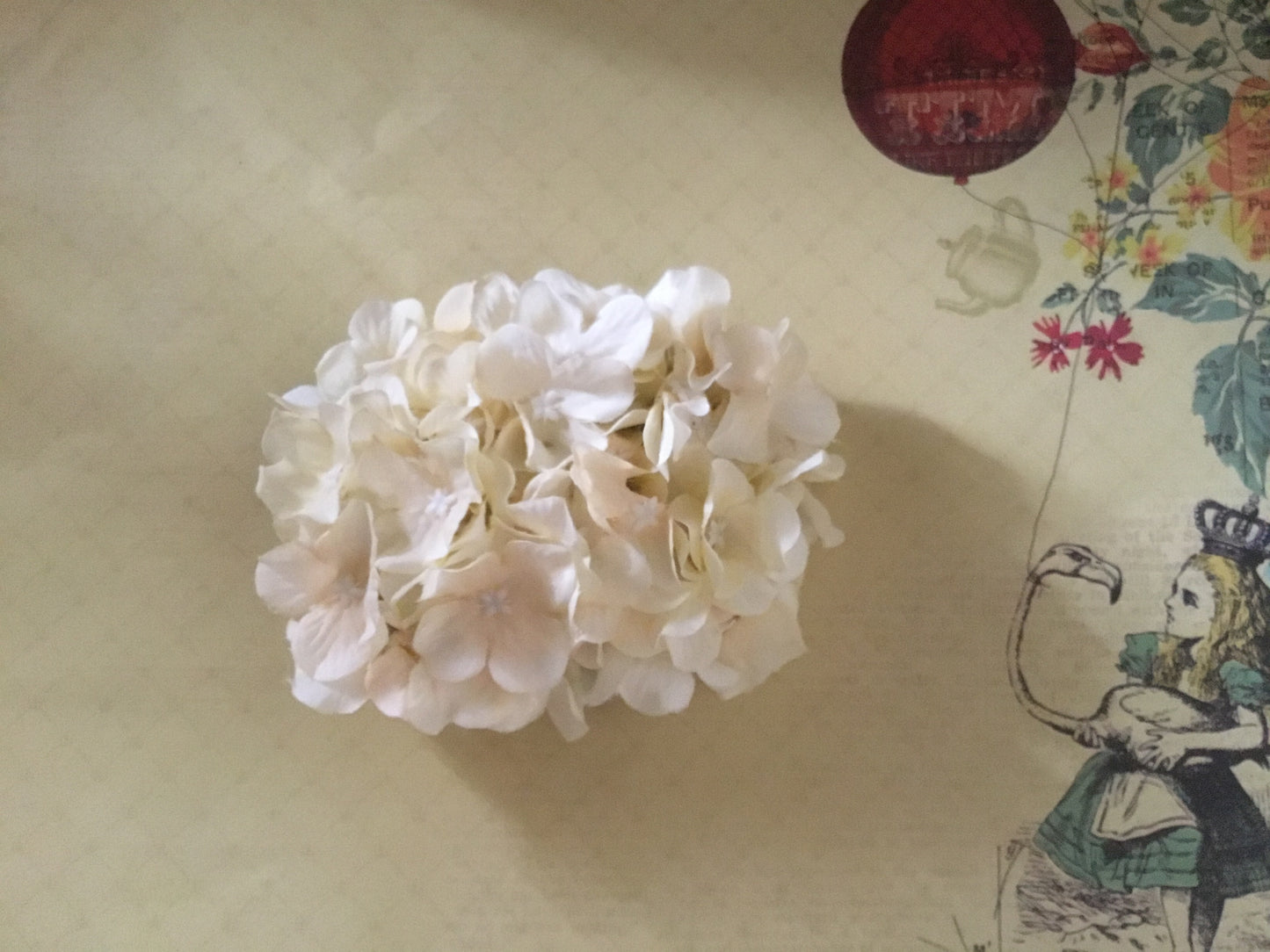 HELENA - hydrangea hairflower - Ivory