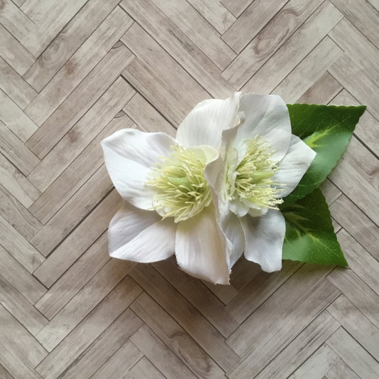 Double Japanese anemones - hairflower - White