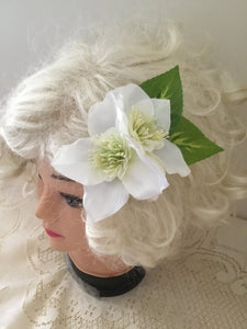 Double Japanese anemones - hairflower - White
