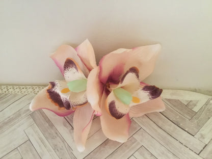 ELLA - cymbidium orchid hairflowers - various colours