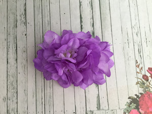 Beautiful Delphinium cluster hairflower - purple