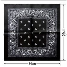 Load image into Gallery viewer, PAISLEY Bandana- various colours
