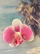 Load image into Gallery viewer, Phalaenopsis real touch medium orchid clip - Pink
