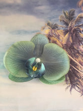 Load image into Gallery viewer, Phalaenopsis real touch large orchid clip - Teal
