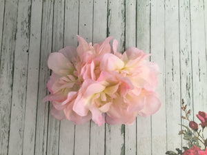 Beautiful Delphinium cluster hairflower - pink