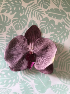 Phalaenopsis velvet touch large orchid clip - Grape