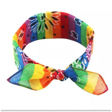 Load image into Gallery viewer, Bandana - paisley - pride / rainbow 🌈
