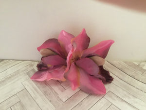 ELLA - cymbidium orchid hairflowers - various colours