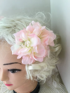 Beautiful Delphinium cluster hairflower - pink