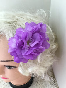 Beautiful Delphinium cluster hairflower - purple