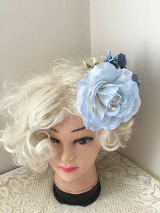 MRS BLUE WREN - delightful large hairflower cluster