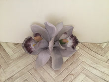 Load image into Gallery viewer, ELLA - cymbidium orchid hairflowers
