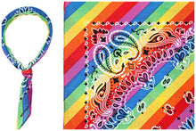 Load image into Gallery viewer, Bandana - paisley - pride / rainbow 🌈
