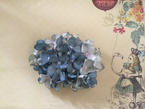 HELENA - hydrangea hairflower - Blue