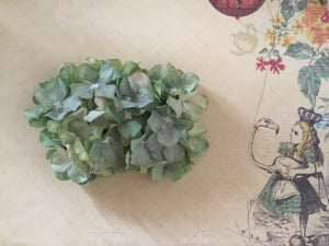 HELENA - hydrangea hairflower - Green